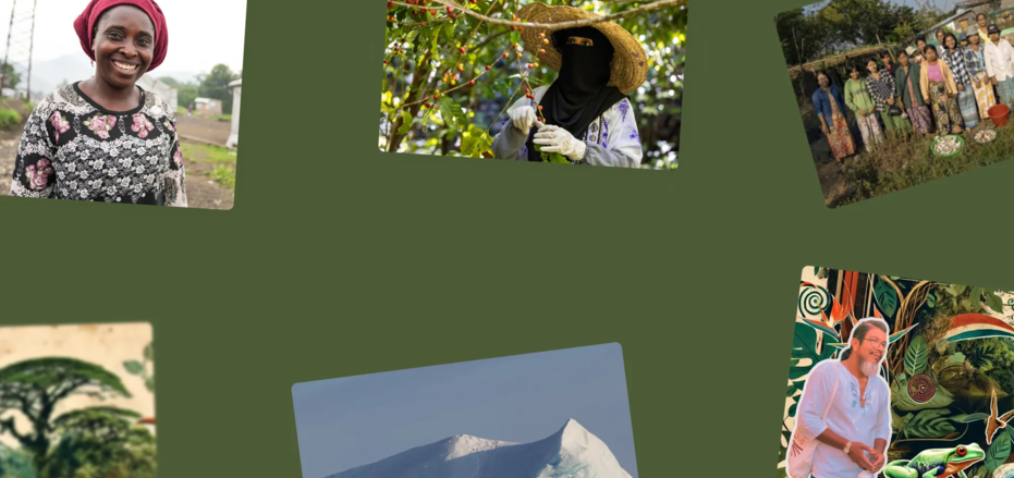 Collage of impact stories from around the world